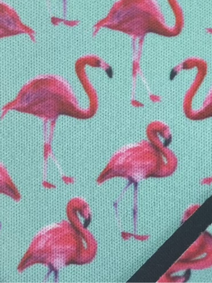 Pink Swan Print