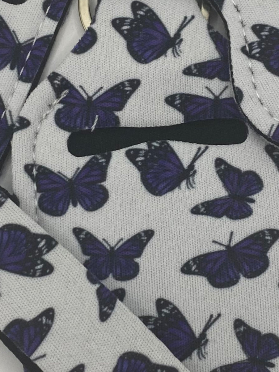 Blue Butterfly